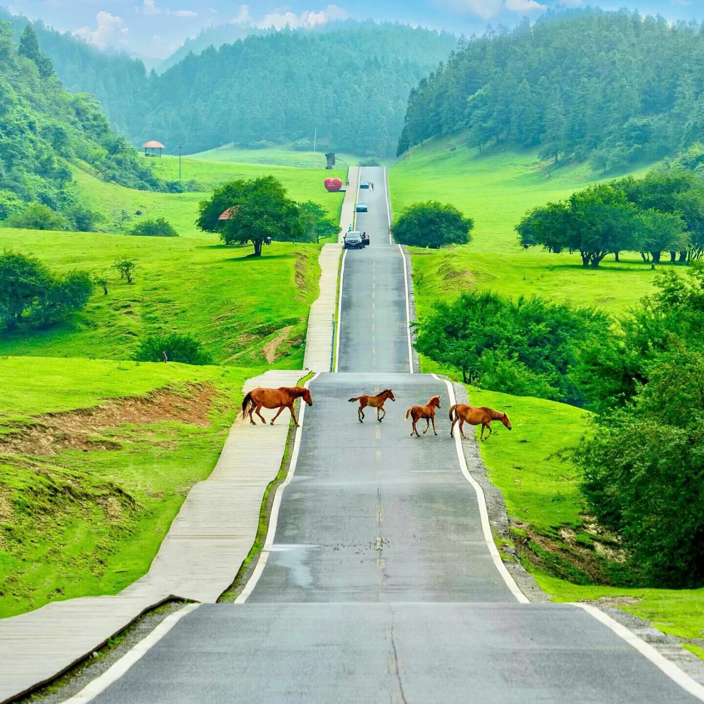 Xian Nv Mountain scenic landscape included in Chongqing 4 Days 3 Nights Itinerary
